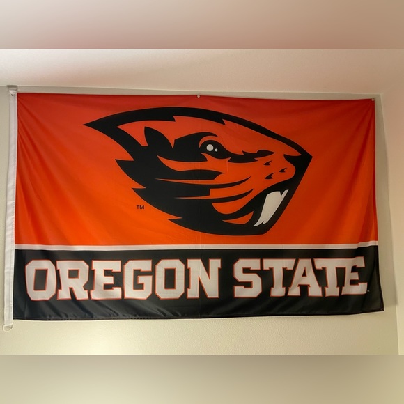 New Oregon State flag, excellent condition! - Picture 1 of 2